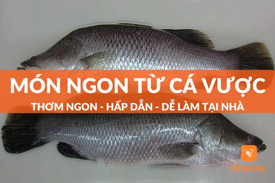 Cá Vược Làm Món Gì Ngon? Top 11 Món Ngon Từ Cá Vược