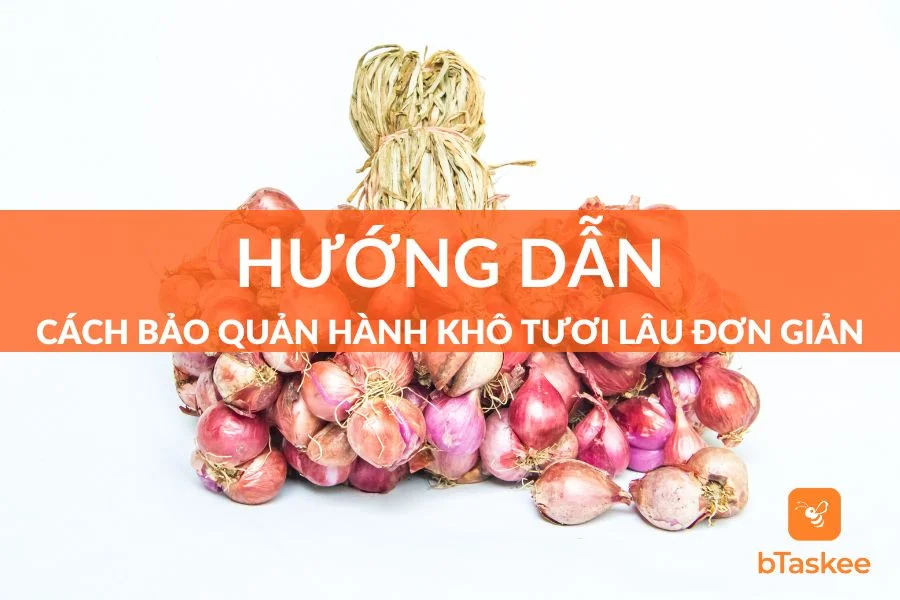 Cách Bảo Quản Hành Khô Lâu Dài, Không Mốc Hỏng