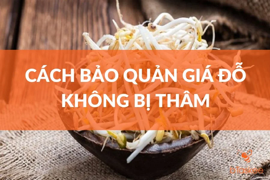 Cách Bảo Quản Giá Đỗ Không Bị Thâm, Luôn Tươi Ngon