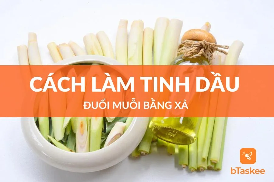 Cách Làm Tinh Dầu Đuổi Muỗi Bằng Sả Đơn Giản, Thơm Nhà