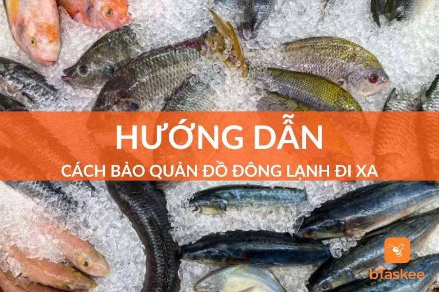 Cách Bảo Quản Đồ Đông Lạnh Đi Xa Và Câu Hỏi Thường Gặp