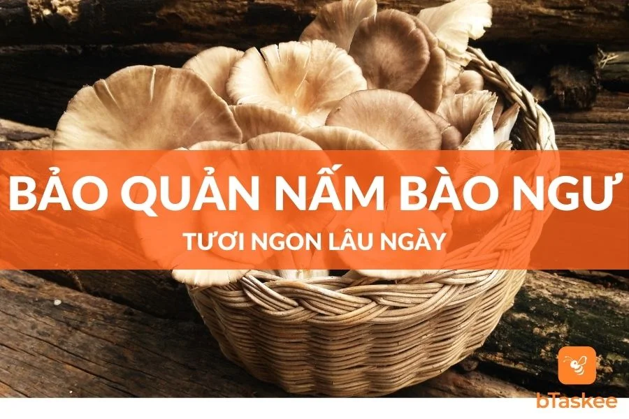 Cách Bảo Quản Nấm Bào Ngư Tươi Ngon Lâu Ngày