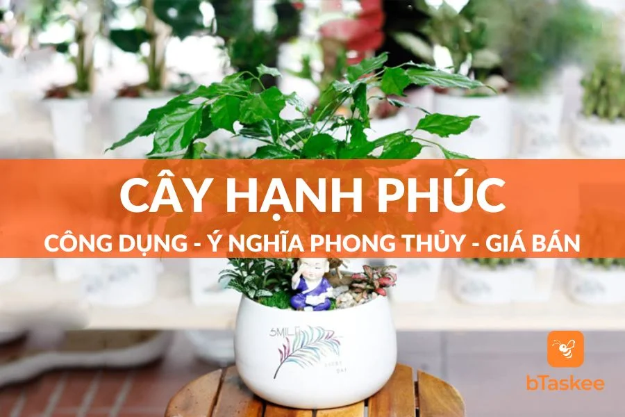 Cây Hạnh Phúc: Công Dụng - Ý Nghĩa Phong Thủy - Giá Bán
