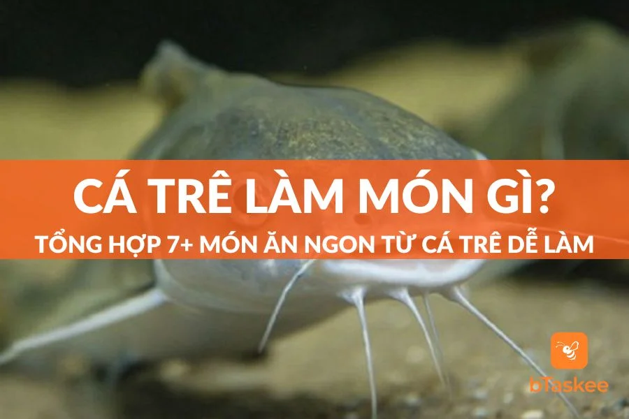 Cá Trê Làm Món Gì Ngon? Tổng Hợp 7+ Món Ăn Ngon Dễ Làm