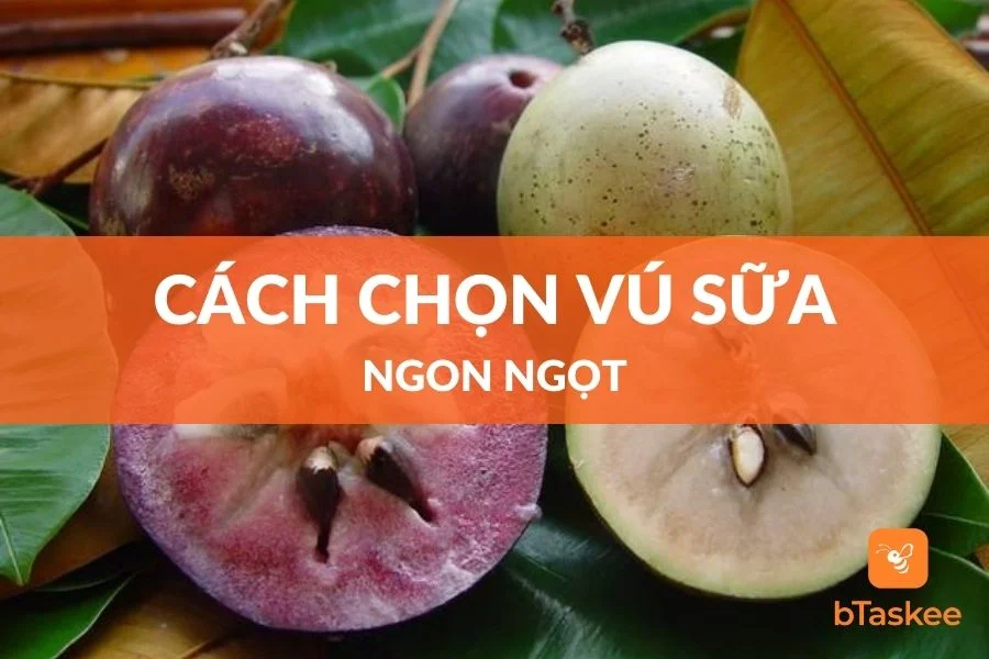 Cách Chọn Vú Sữa Ngon Không Nên Bỏ Qua