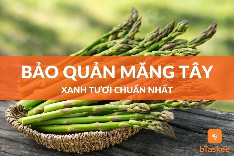 5 Cách Bảo Quản Măng Tây Xanh Tươi Chuẩn Nhất