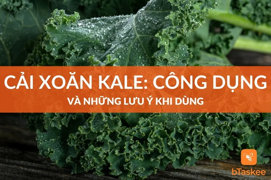Cải Xoăn Kale: Công Dụng Và Những Lưu Ý Khi Dùng