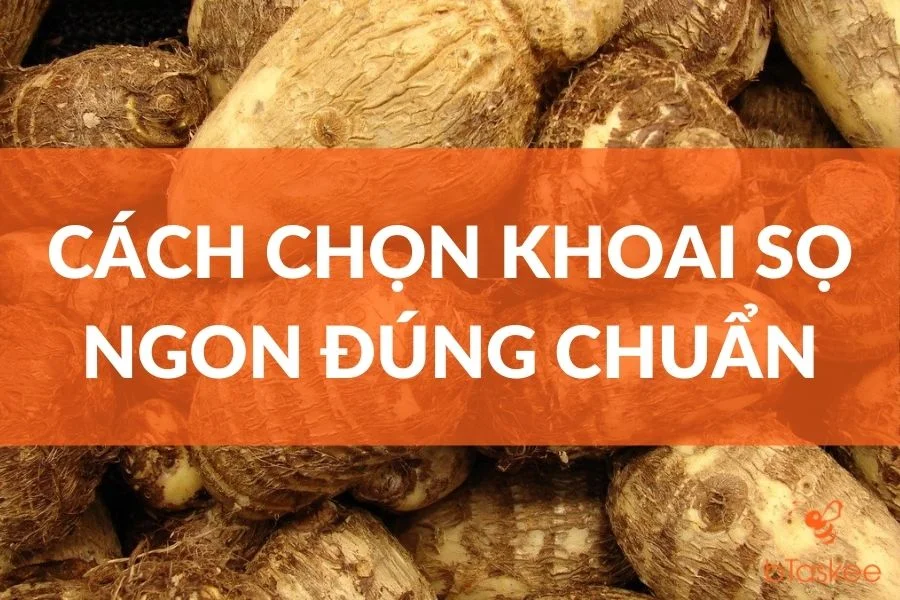 Cách Chọn Khoai Sọ Ngon Đúng Chuẩn