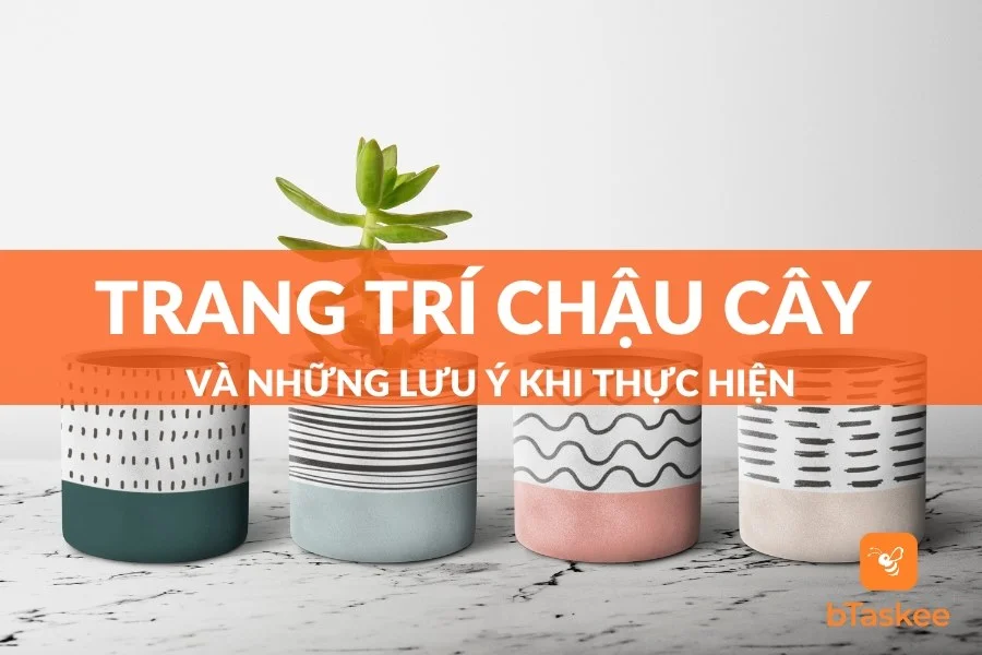Các Cách Trang Trí Chậu Cây Và Những Lưu Ý Khi Thực Hiện