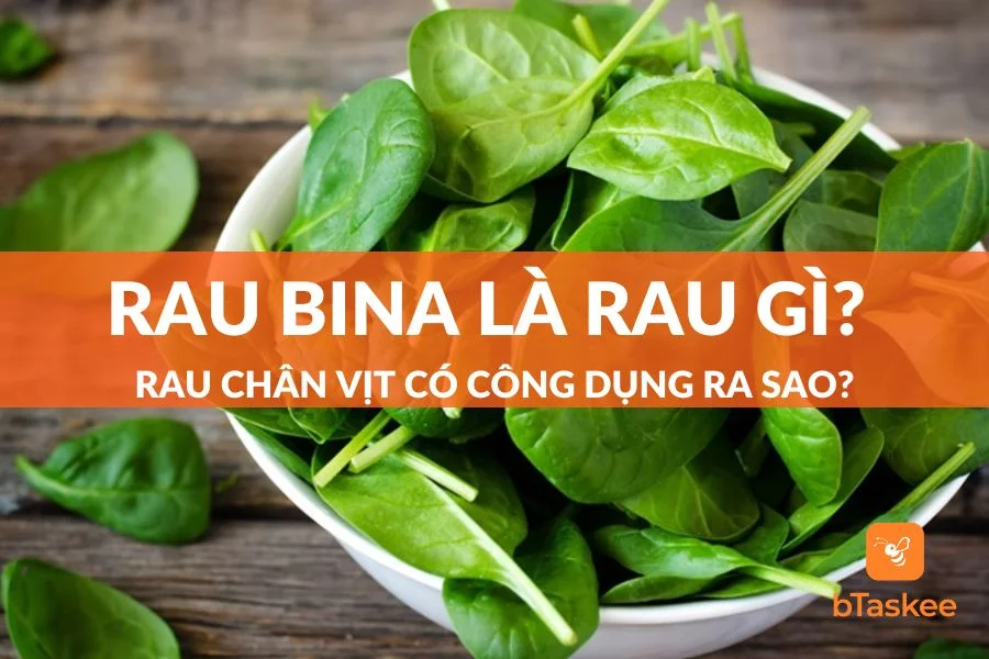 Rau Bina Là Gì? 12 Công Dụng Tuyệt Vời Của Rau Chân Vịt