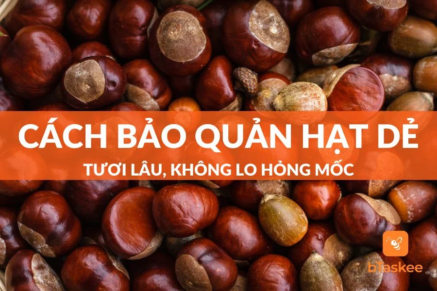 8 Cách Bảo Quản Hạt Dẻ Tươi Lâu, Không Lo Hỏng Mốc