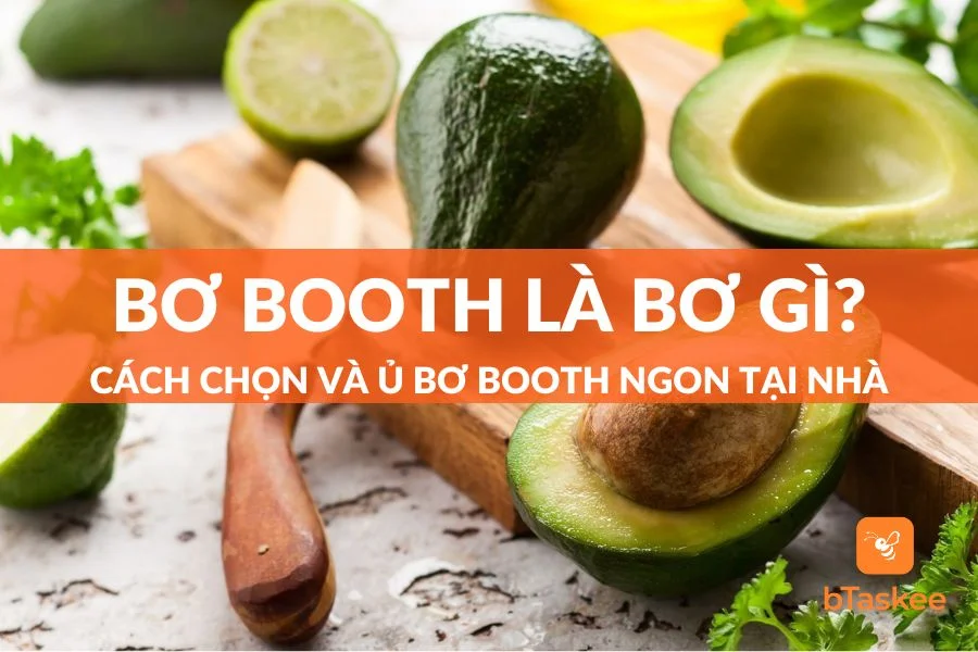 Bơ Booth Là Bơ Gì? Cách Chọn Và Ủ Bơ Booth Ngon Tại Nhà