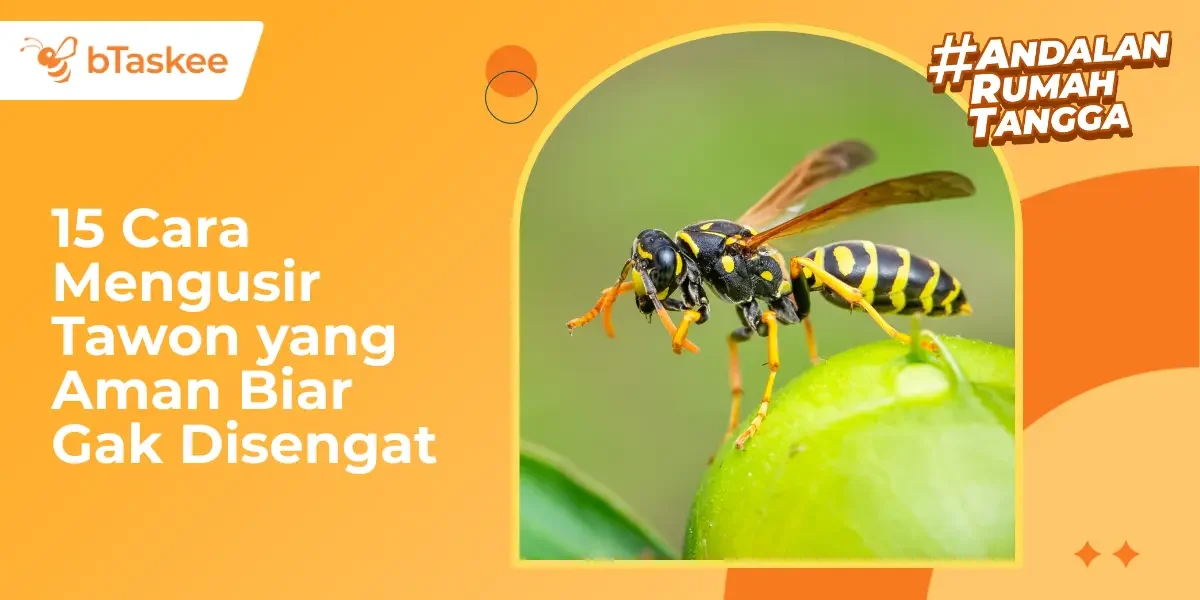 15 Cara Mengusir Tawon yang Aman Biar Gak Disengat
