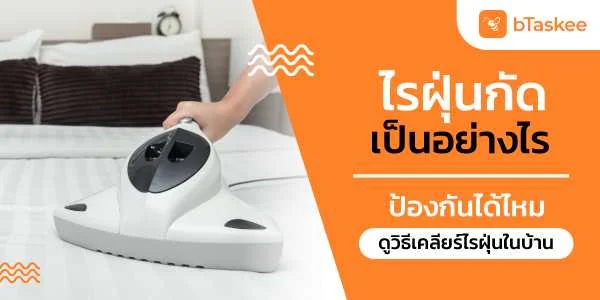 ไรฝุ่นกัดเป็นอย่างไร ป้องกันได้ไหม ดูวิธีเคลียร์ไรฝุ่นในบ้าน