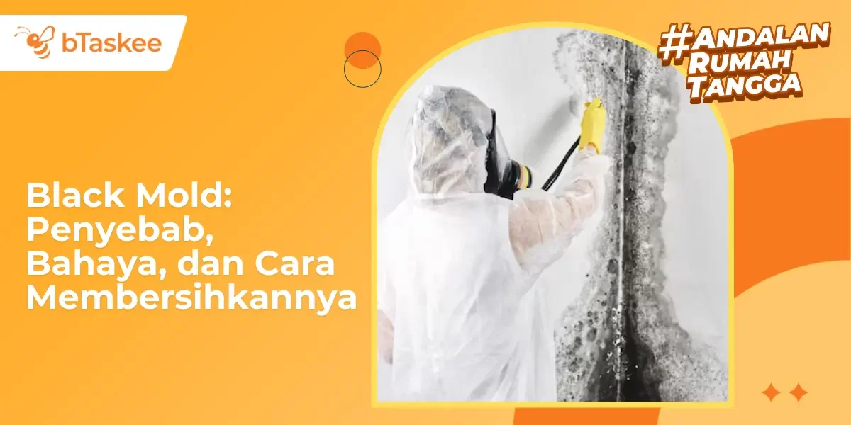 Black Mold: Penyebab, Bahaya, dan Cara Membersihkannya
