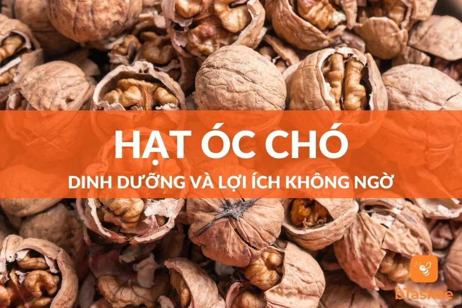 Hạt Óc Chó: Giá Trị Dinh Dưỡng Và Lợi Ích Không Ngờ Từ