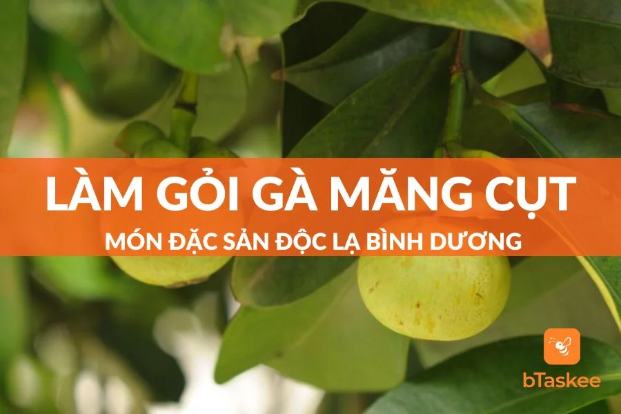 Tự Làm Gỏi Gà Măng Cụt - Món Đặc Sản Độc Lạ Bình Dương