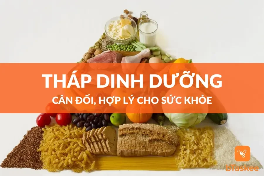 Tháp Dinh Dưỡng Vàng Cân Đối, Hợp Lý Cho Sức Khỏe