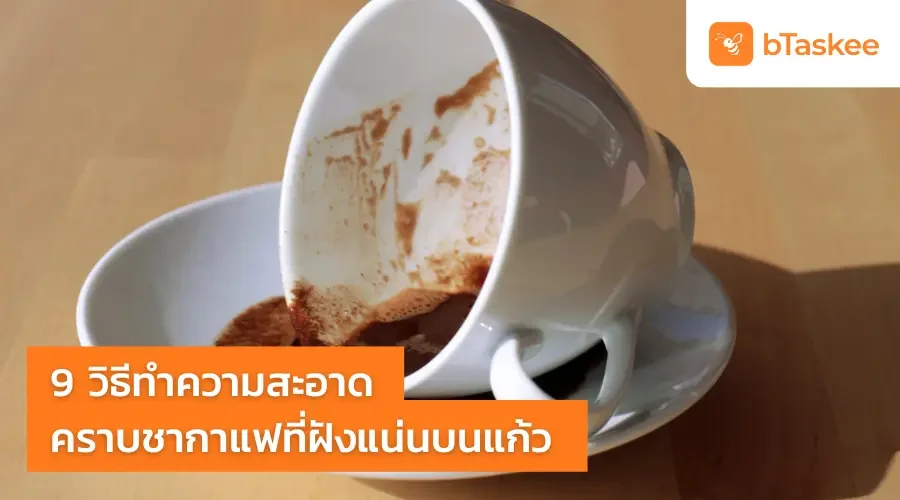 9 วิธี ทำความสะอาด คราบชากาแฟ ที่ฝังแน่นบนแก้ว