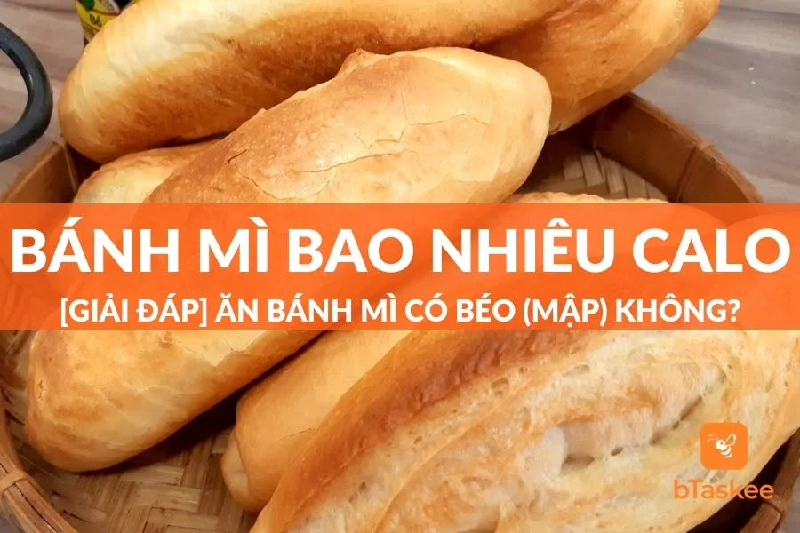 Bánh Mì Bao Nhiêu Calo? Ăn Bánh Mì Có Béo (Mập) Không?