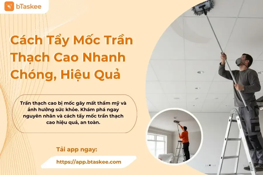Cách Tẩy Mốc Trần Thạch Cao Nhanh Chóng, Hiệu Quả