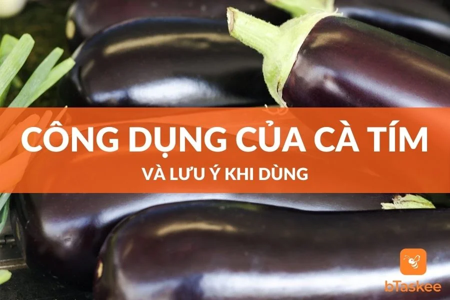Quả Cà Tím: Công Dụng Và Những Lưu Ý Khi Dùng