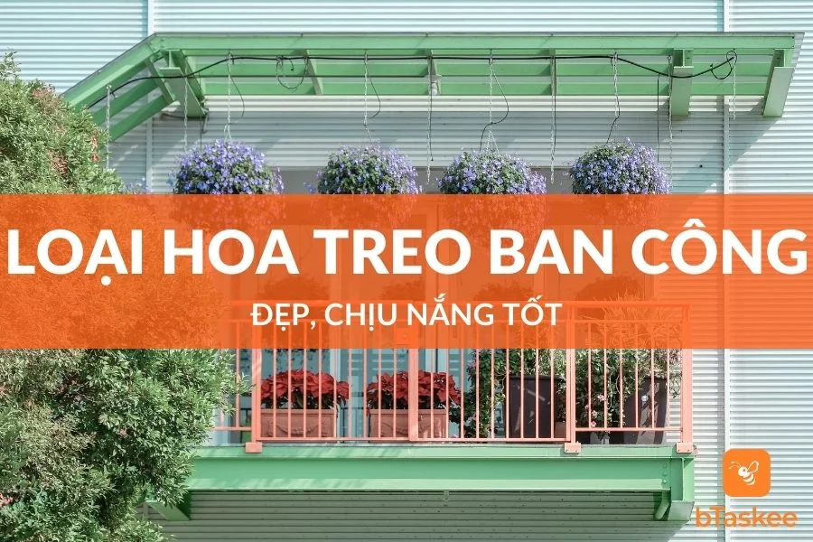 Các Loại Hoa Treo Ban Công Đẹp, Chịu Nắng Tốt Nhất