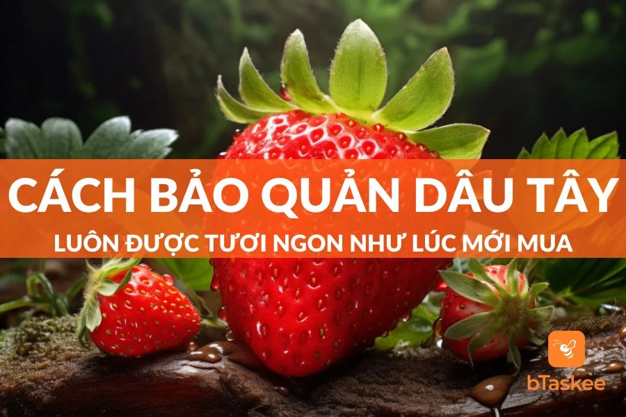 Top 6 Cách Bảo Quản Dâu Tây Luôn Được Tươi Lâu Mới Nhất 2023
