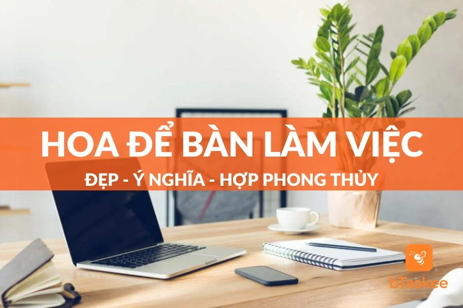 Bỏ Túi 8 Loại Hoa Để Bàn Làm Việc Đẹp, Mang Lại May Mắn