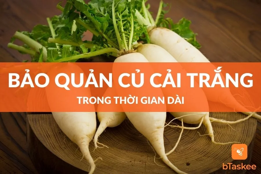 Cách Bảo Quản Củ Cải Trắng Trong Thời Gian Dài
