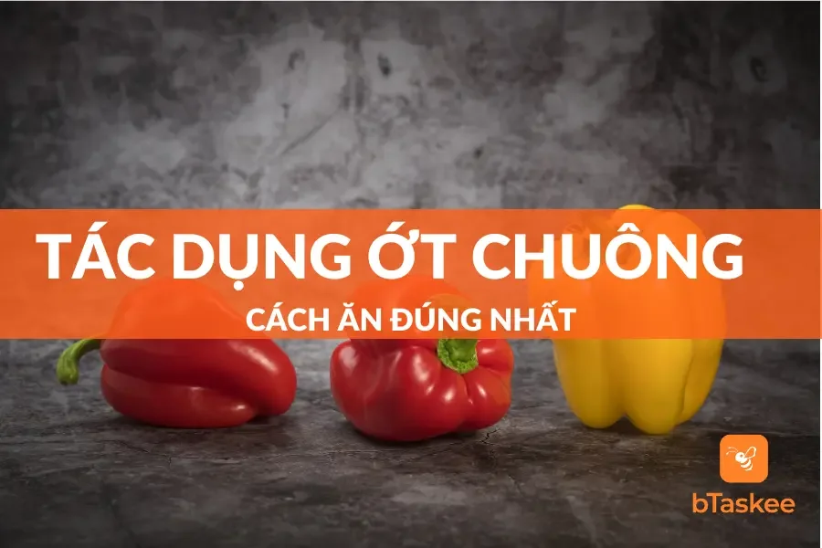 Ăn Ớt Chuông Có Tác Dụng Gì? Cách Ăn Đúng Nhất