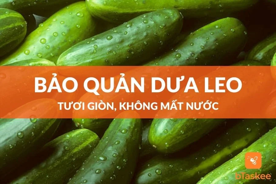 Cách Bảo Quản Dưa Leo Luôn Tươi Ngon, Không Mất Nước