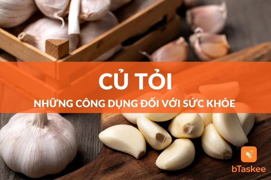 Củ Tỏi Và Những Công Dụng Đối Với Sức Khỏe