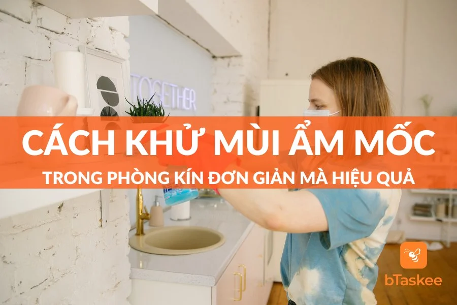 12 Cách Khử Mùi Ẩm Mốc Trong Phòng Kín Đơn Giản Mà Hiệu Quả