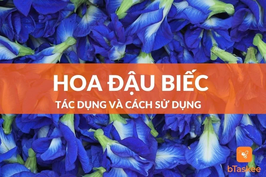 Hoa Đậu Biếc Có Tác Dụng Gì? Sử Dụng Như Thế Nào?