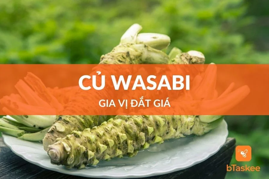 Củ Wasabi Tại Sao Giá Lại Đắt Như Vậy?