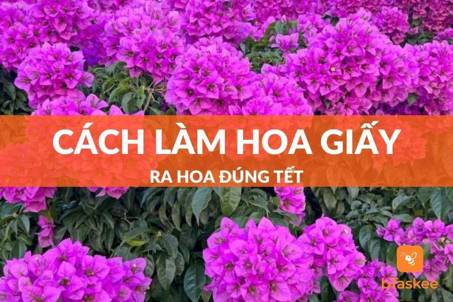 Hướng Dẫn Cách Làm Hoa Giấy Ra Hoa Đúng Tết Đơn Giản