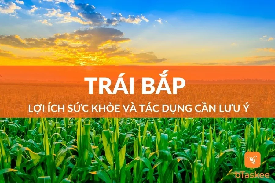 Trái Bắp: Lợi Ích Sức Khỏe Và Tác Dụng Phụ Cần Lưu Ý