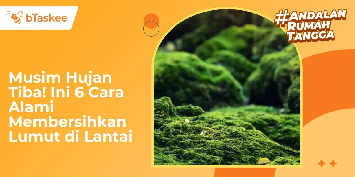 Musim Hujan Tiba, Ini 6 Cara Alami Membersihkan Lumut di Lantai