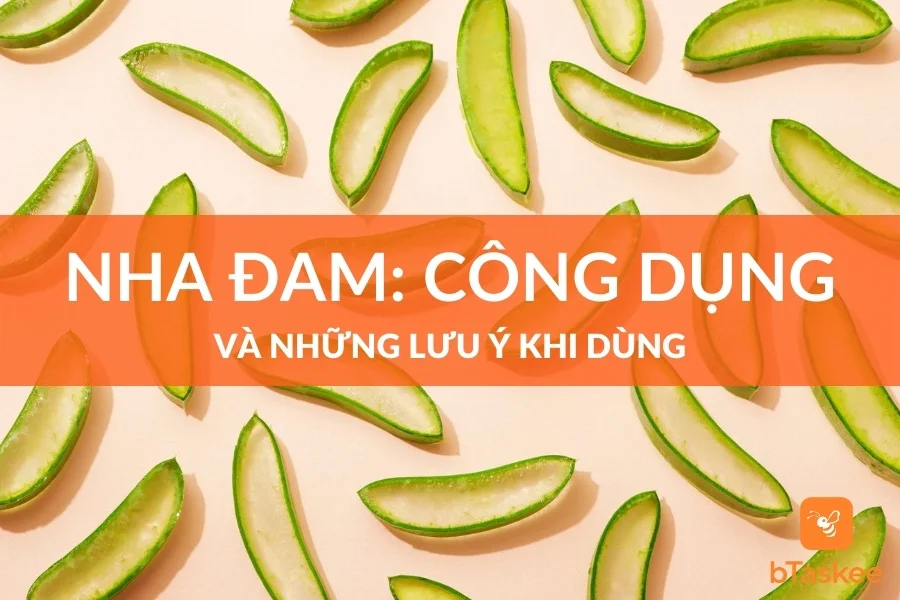 Nha Đam: Công Dụng Và Những Lưu Ý Khi Dùng