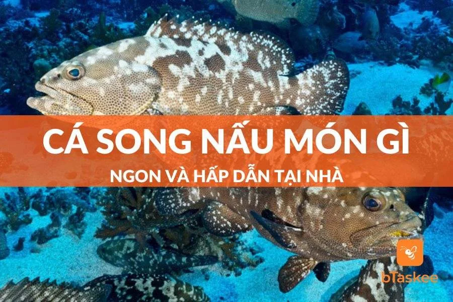 Cá Song Nấu Món Gì Ngon? Tổng Hợp 8 Món Ăn Ngon Nhất Từ Cá Song