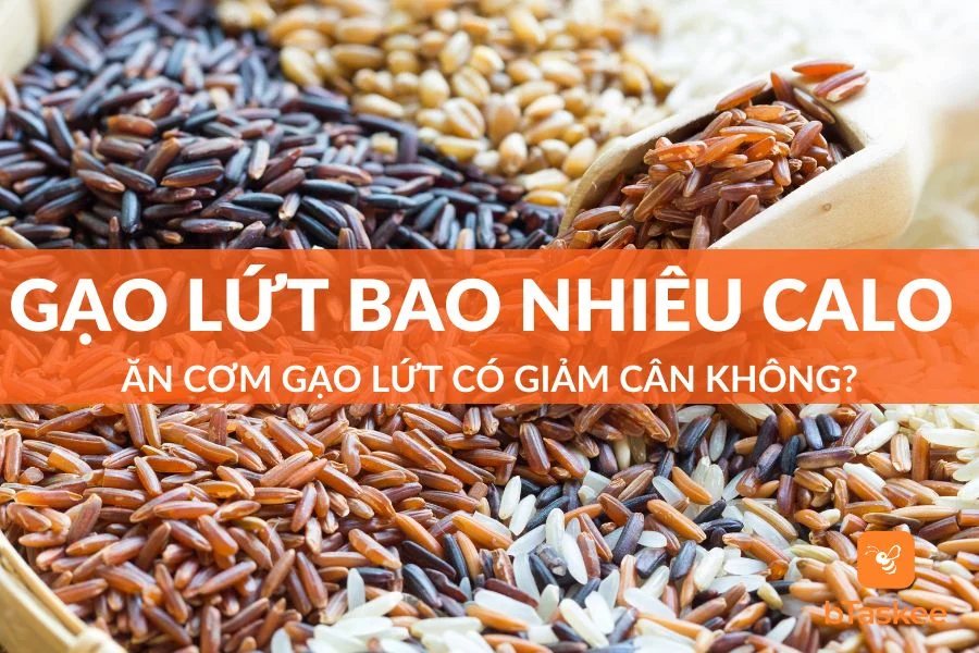 Gạo Lứt Bao Nhiêu Calo? Ăn Cơm Gạo Lứt Có Giảm Cân Không?