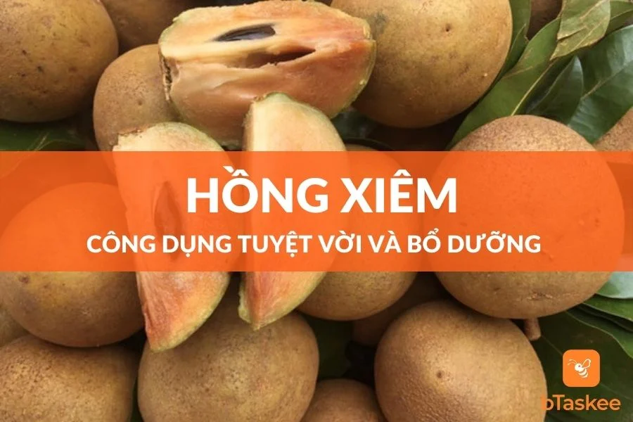 Hồng Xiêm: Công Dụng Tuyệt Vời Từ Loại Trái Cây Thơm Ngon
