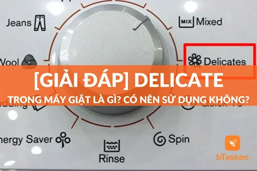 [Giải Đáp] Chế Độ Delicate Trong Máy Giặt Là Gì?