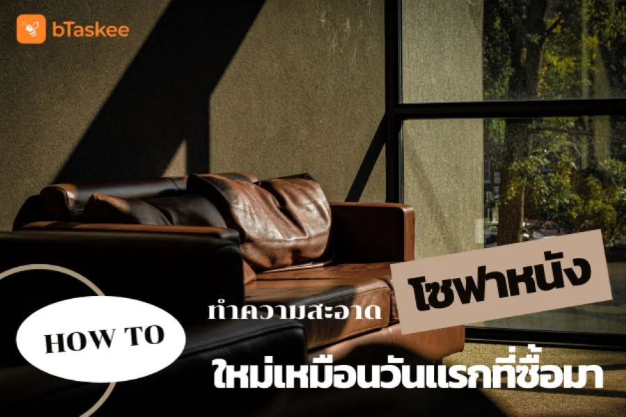 วิธีทำความสะอาดโซฟาหนัง …ใหม่เหมือนวันแรกที่ซื้อมา