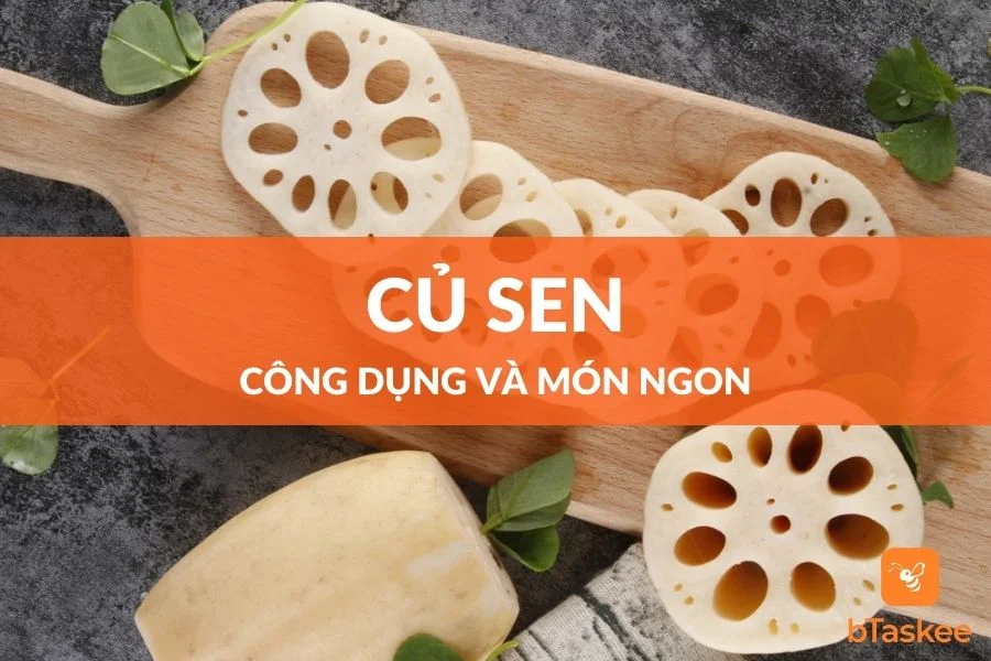 9 Công Dụng Của Củ Sen Đối Với Sức Khỏe Và Các Món Ngon