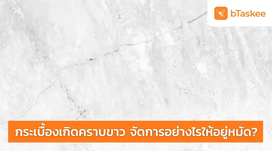 กระเบื้องเกิด คราบขาว จะจัดการอย่างไรให้อยู่หมัด?