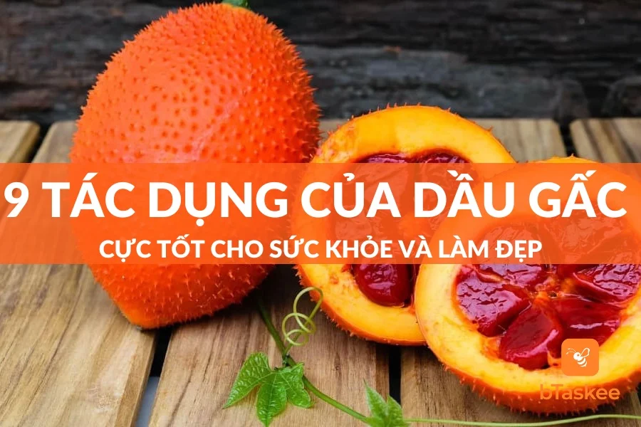 9 Tác Dụng Của Dầu Gấc Cho Sức Khỏe Và Lưu Ý Khi Sử Dụng