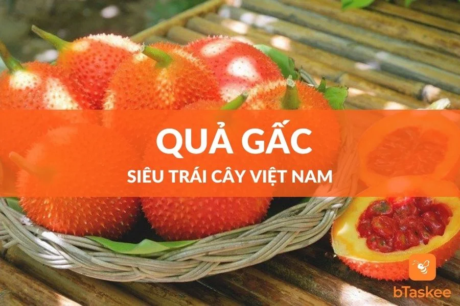 Quả Gấc Tác Dụng Bổ Sung Dưỡng Chất Cho Sức Khỏe
