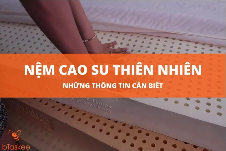 Những Thông Tin Cần Biết Về Nệm Cao Su Thiên Nhiên
